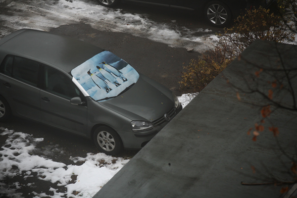 535 :: Windscreen cover
